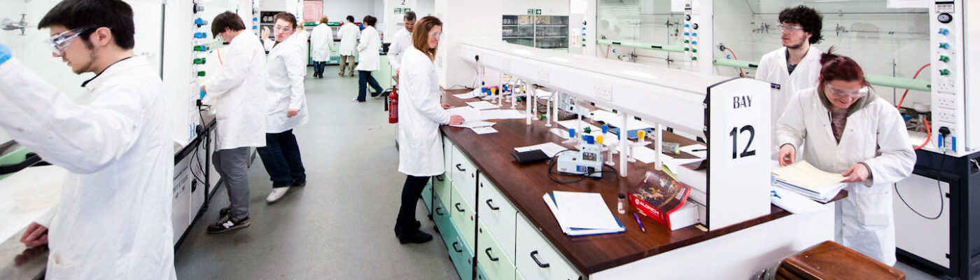 Students working in a lab