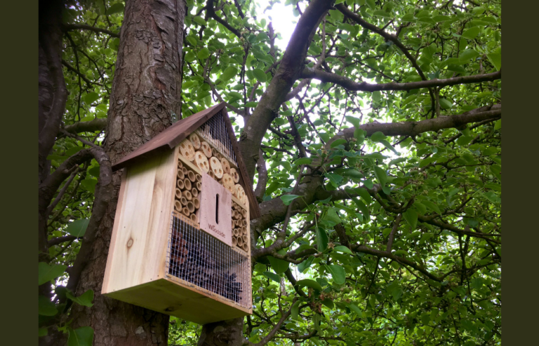 Bee Hotel at Platt Fields Park