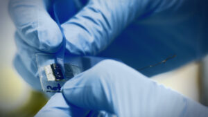 GrapheneExfoliation