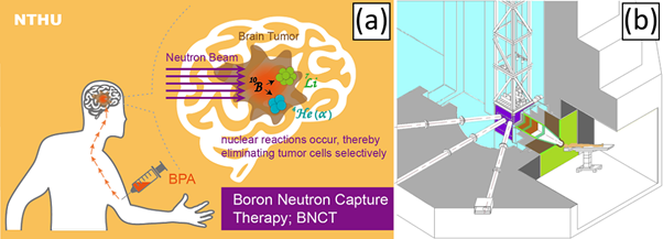 Two images giving an overview of boron neutron capture therapy.