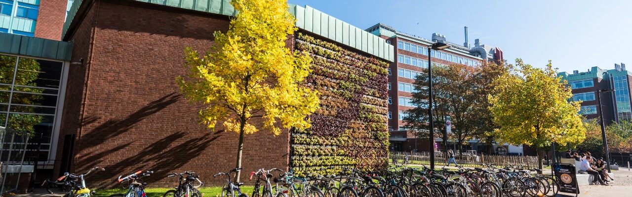 Autumnal tress outside university building