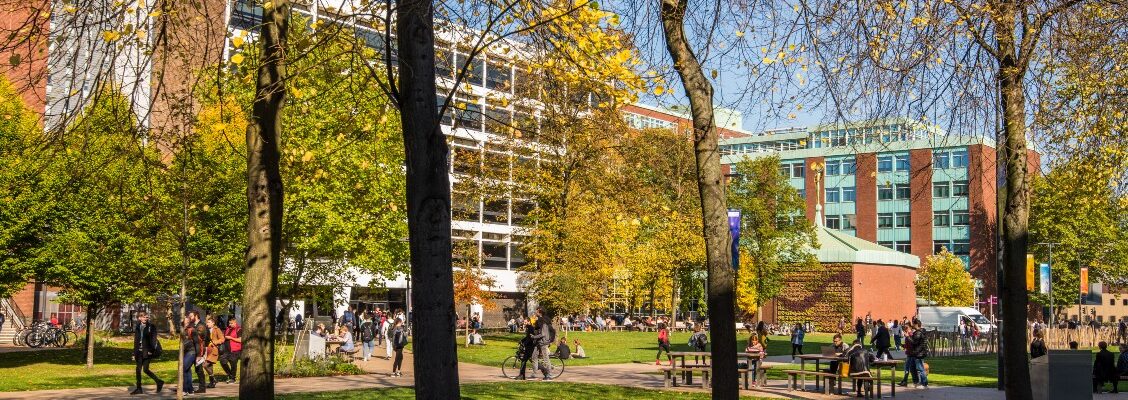 Autumn scene with tress in front of university buildings