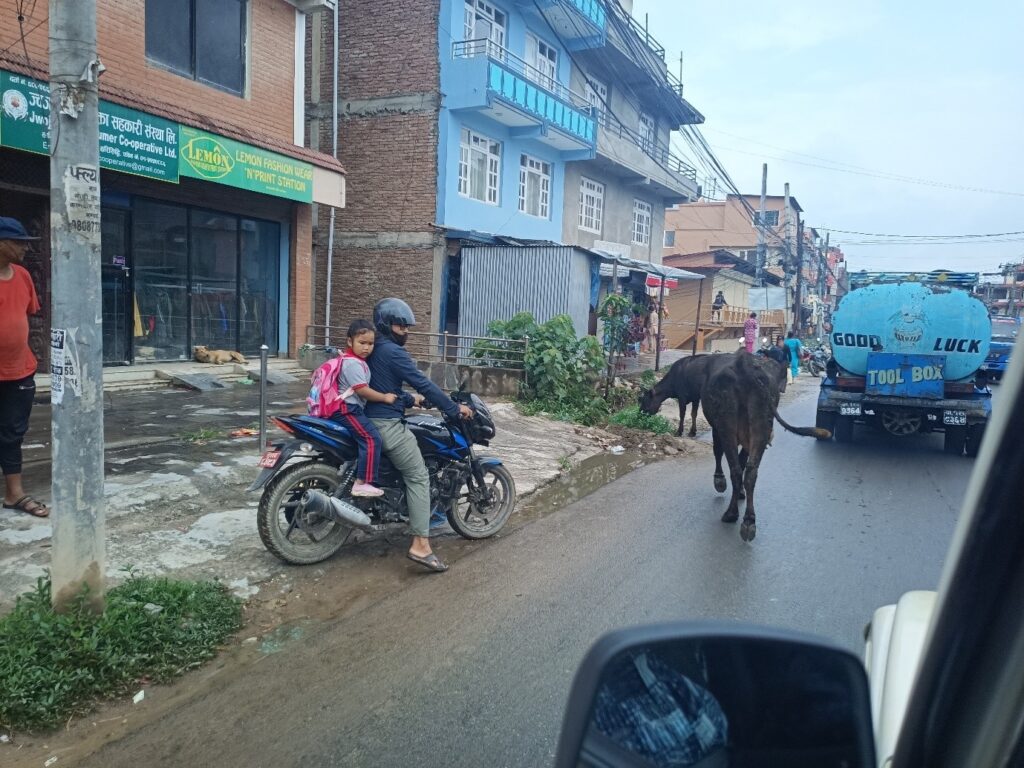 The view of a street in Kathmandu from a car, a motorbike ridden by an adult with a female presenting