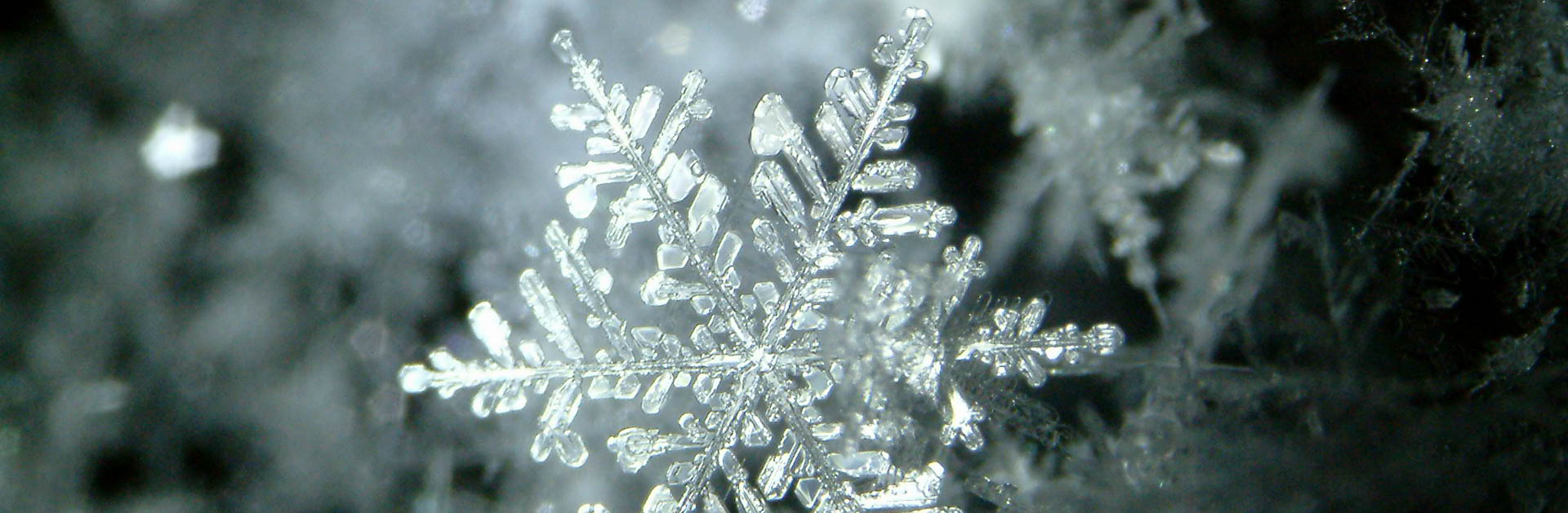 Manchester researchers open a new chapter in the story of crystals