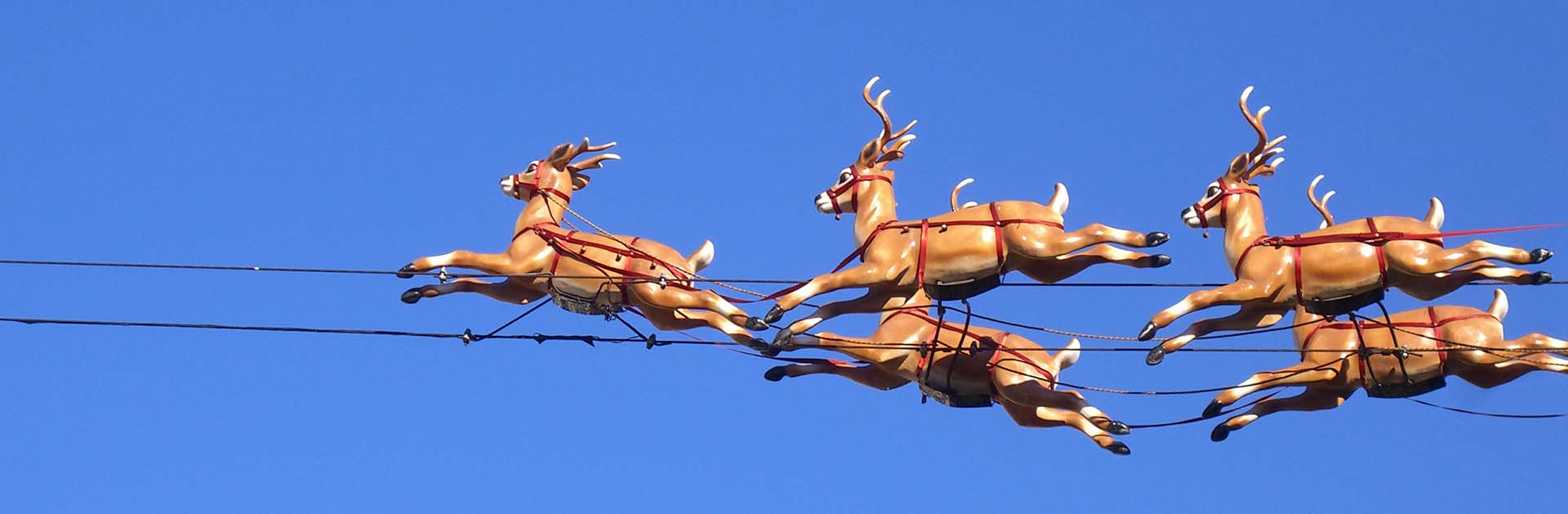 The science behind Christmas