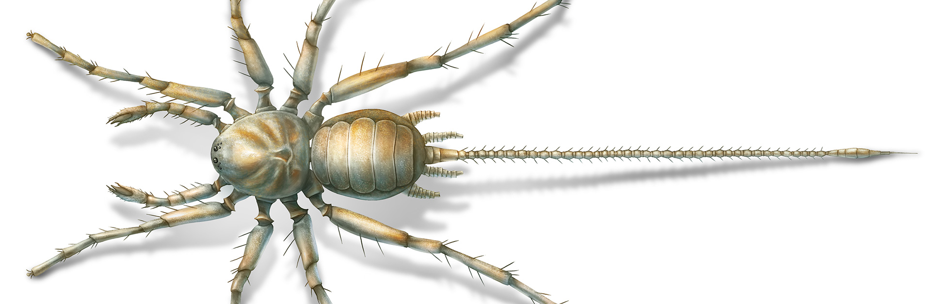 Jurassic Park meets Arachnophobia