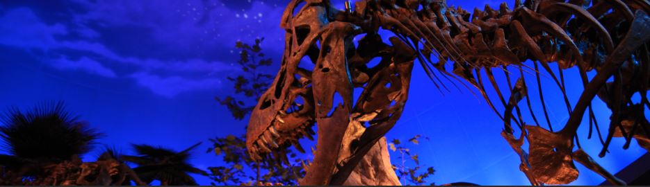 The Buzz S1, E3: Mission Jurassic