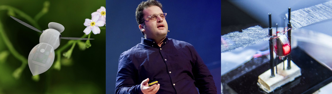Who’s who in MACE – Mostafa Nabawy
