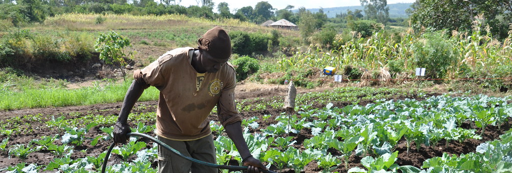 Challenging the doctrine of traditional farming