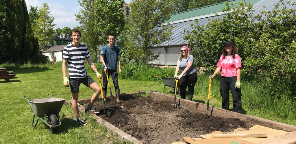 Volunteers planting at the firs