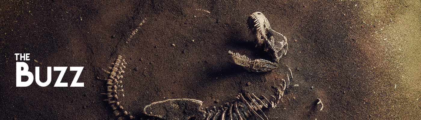 The Buzz S3, E2: What killed the dinosaurs?