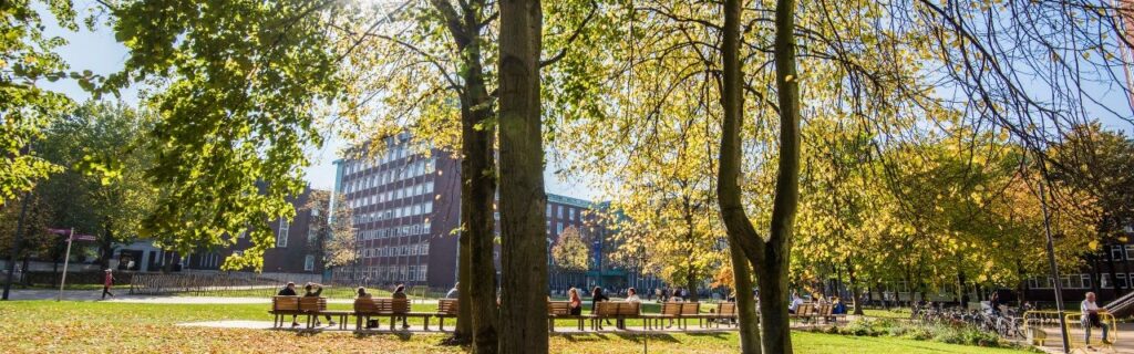 Picture of university buildings in late summer