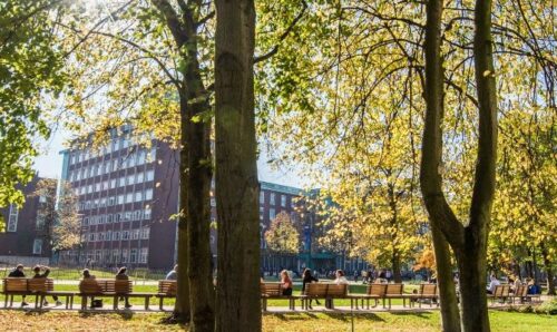 Picture of university buildings in late summer