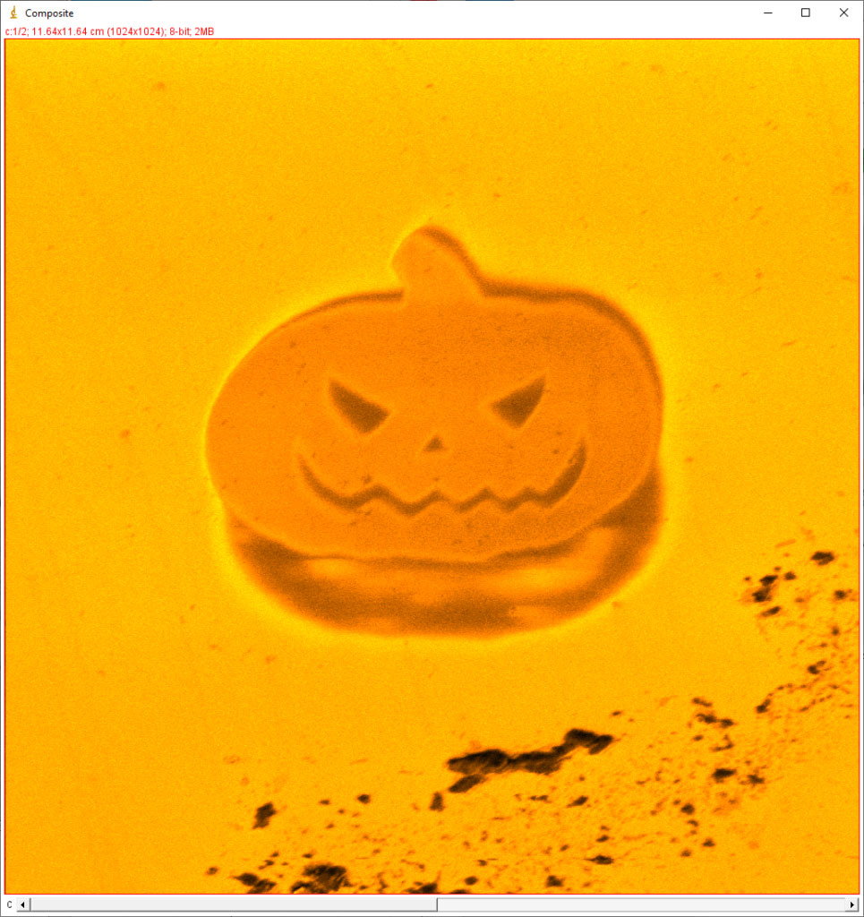 A photo of a microscopic pumpkin on an orange background