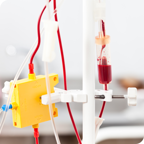 Blood passing through tubes