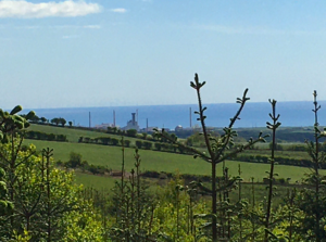 Sellafield from afar